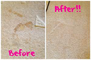 gilbert carpet clean