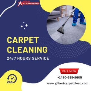 Carpet Steam Cleaning Gilbert- Key Pointers That Need To Be Known By ...